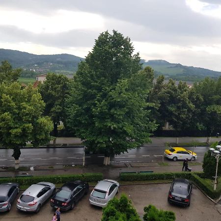 Apartament Posada Curtea de Argeş Екстериор снимка