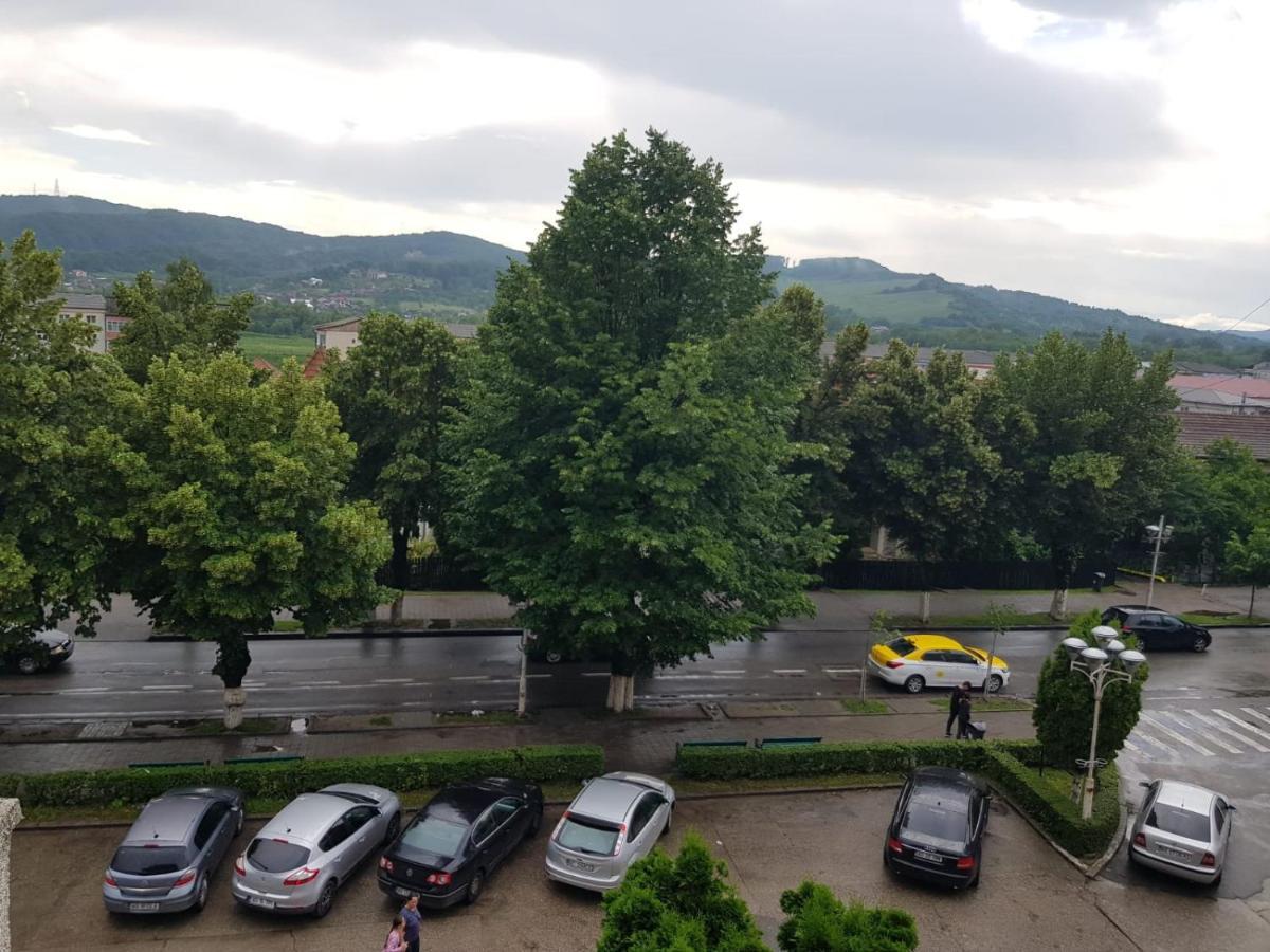 Apartament Posada Curtea de Argeş Екстериор снимка