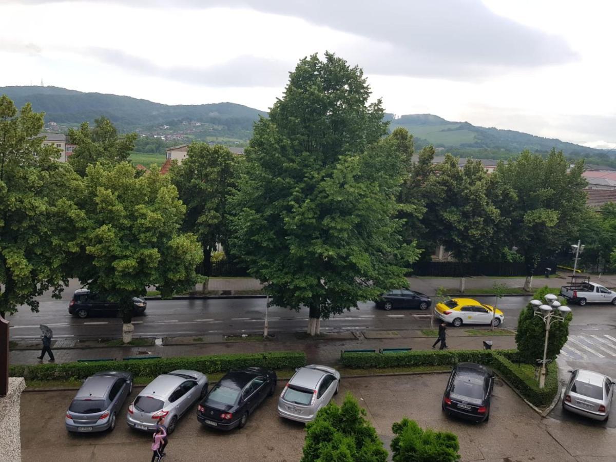 Apartament Posada Curtea de Argeş Екстериор снимка